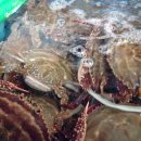 인이수산 이미지