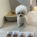 아이펫 | 강아지수제간식맛집 믿고 먹일 수 있는 아이펫베이크 후기
