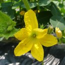 열매유치원 이미지