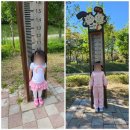 나무고아원 | 1년 만에 다시 찾은 하남 나무고아원 주차 정보 및 방문 후기!