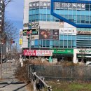 조가네갑오징어전북도청점