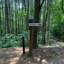 상촌면 물한계곡주차장 화장실 | [영동 / 민주지산] 100대 명산 민주지산 등산 후기