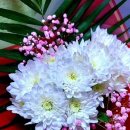 행복에너지1발전소 이미지