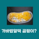 빽다방 가바밥알떡 곰팡이 논란 및 예산 맥주 축제 불법 행위 정리