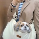 율하 위드동물병원 이미지