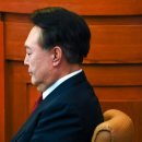 36.5 이미지