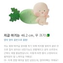 대복청소