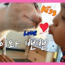 태희정육점 이미지