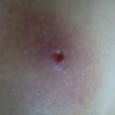 심심풀이 이미지