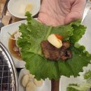 왕포면옥 | 🥩 [대전돼지갈비맛집] 10년 전통! 만년동맛집 왕포면옥에서 냉면까지 순삭한 후기!