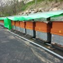 내검농장 이미지