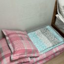 바닷가 하얀목화밭 이미지