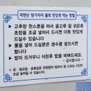 태화횟집 - 중구 화진4길 20 | 태화횟집