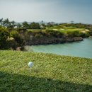 파인비치 이미지