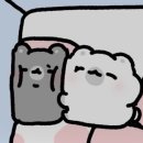 신남대문안경 | 유니버셜 오프런부터 폐장까지