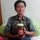벌꿀양봉 이미지