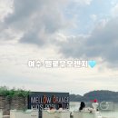 멜로우오렌지 이미지