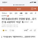 제주동물보호센터 전염병 발생…유기견 등 432마리 '비상' 이미지