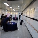 야생화그리기 이미지