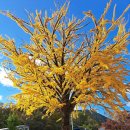 가은초등학교 이미지