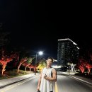 테라머뭄 이미지