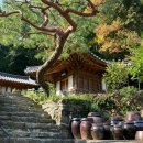 요가명상봄