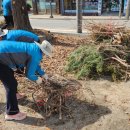 남면파출소 이미지