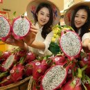 용과 서울 이미지