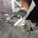 웰킨호텔 | 강서구두피 케어 산소스케일링 후기 웰킨두피탈모케어