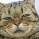 +5편의점 이미지