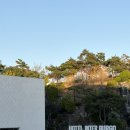 꿈꾸는 선율 23S | 대구 인터불고 지브리 캔들라이트 콘서트 내돈내산 솔직 후기