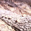 하산 농장 이미지