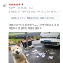 난닝구 살려고 후기를 보는데
