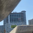 강남축구공원 스쿼시장 | 동묘 빈티지 유목민들 필독 비바무역 을지 던던 동대문점에서 보물찾기 성공한 후기