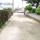 고산초교 이미지