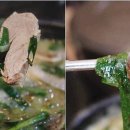 옛날가마솥순대곱창 이미지