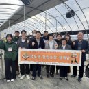 협업농장 이미지