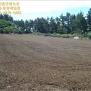 하모리-1 이미지