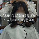 미용실 드라이 구독서비스 &#39;드라이링크&#39; 이용후기(흥해라 흥!)