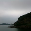 달빛양이 이미지