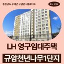 규암초등학교-4 | 규암LH천년나무1단지 영구임대주택 신청 전 거주후기 확인 | 충청남도 부여군 규암면 내동로 26