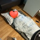 분당삼평-D-3 | 분당차병원 제왕절개 4박5일 후기