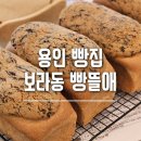빵뜰애 이미지