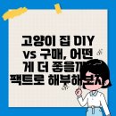 고양이 집 DIY vs 구매, 어떤 게 더 좋을까? 팩트로 해부해보자