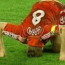 올림픽수영장 이미지