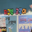 23회 궁팡 랜선 나들이 마무리! SETEC 2&amp;3전시실 캣페어후기와 냥피또 ฅ/ᐠ. ｡.ᐟฅ