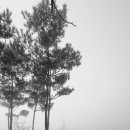 사평풍류마을오토캠핑장 이미지