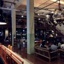 브라운핸즈 이미지