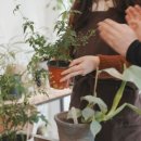 제이너리