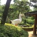 오리골 이미지